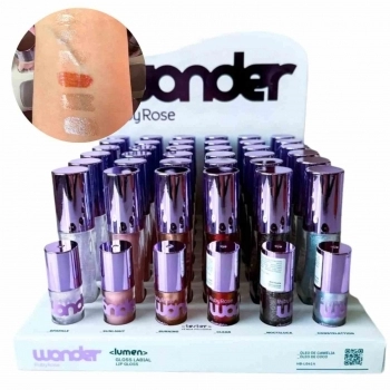 DISPLAY GLOSS LABIAL RUBY ROSE WONDER LUMEN C/36UN HBL6414 G2